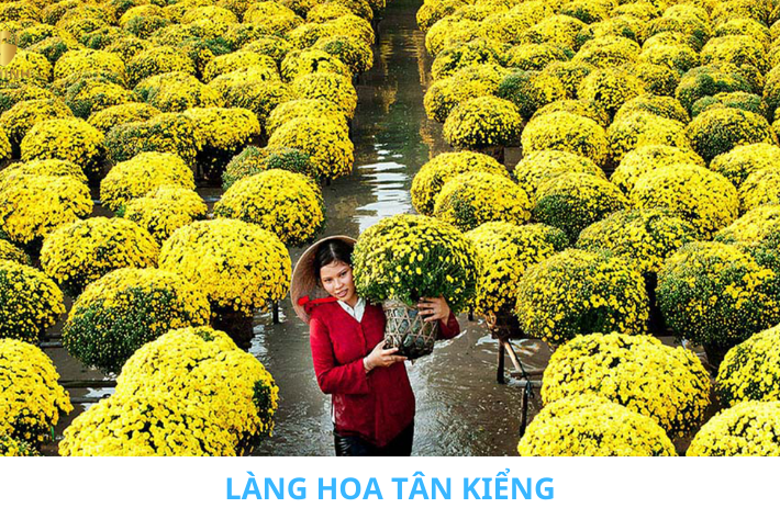 lÀNG HOA TÂN KIỂNG