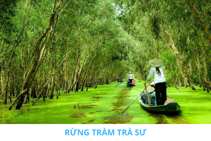 RỪNG TRÀM